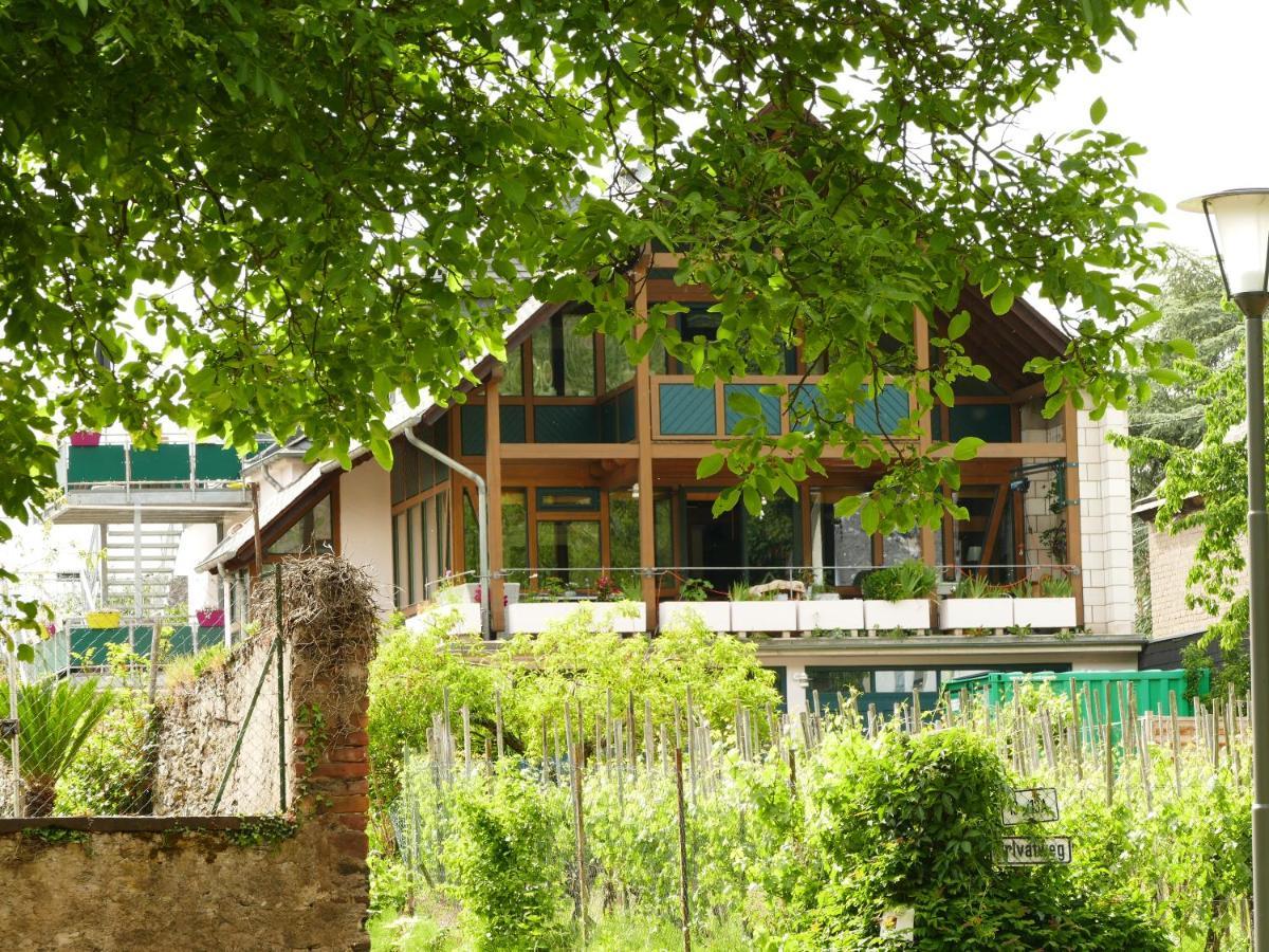 Katrin-Cara Mia Ferienwohnung Trittenheim Exterior foto